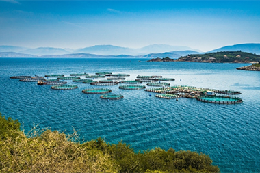 aquaculture