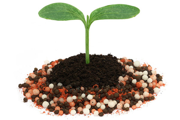 nitrogen generator-Fertilizer industry
